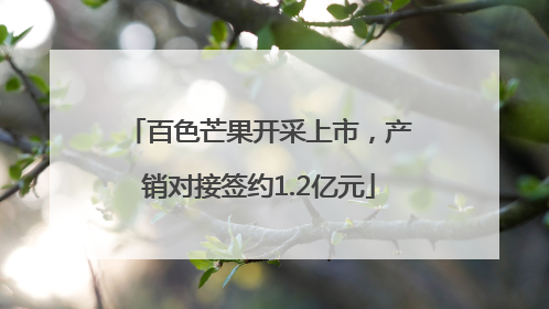 百色芒果开采上市，产销对接签约1.2亿元