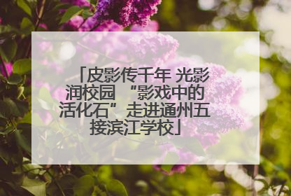 皮影传千年 光影润校园 “影戏中的活化石”走进通州五接滨江学校