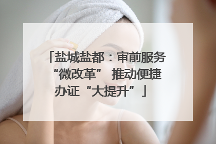 盐城盐都：审前服务“微改革” 推动便捷办证“大提升”