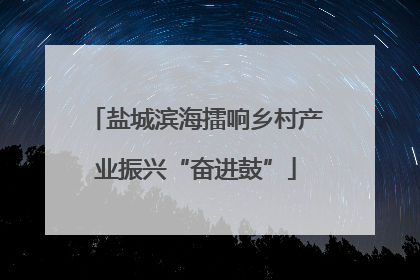 盐城滨海擂响乡村产业振兴“奋进鼓”