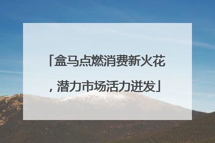 盒马点燃消费新火花，潜力市场活力迸发