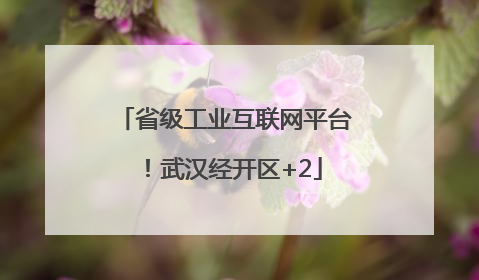 省级工业互联网平台！武汉经开区+2