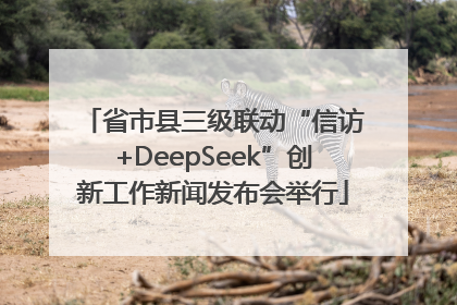 省市县三级联动“信访+DeepSeek”创新工作新闻发布会举行