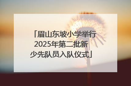 眉山东坡小学举行2025年第二批新少先队员入队仪式