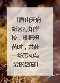 眉山天府新区行知学校：枇杷橙黄时，共赴一场劳动与爱的盛宴