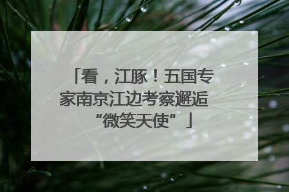 看，江豚！五国专家南京江边考察邂逅“微笑天使”
