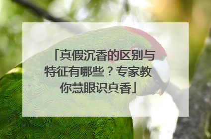 真假沉香的区别与特征有哪些？专家教你慧眼识真香
