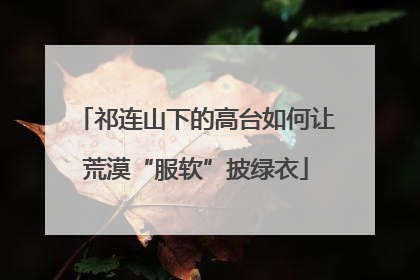 祁连山下的高台如何让荒漠“服软”披绿衣