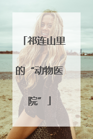 祁连山里的“动物医院”