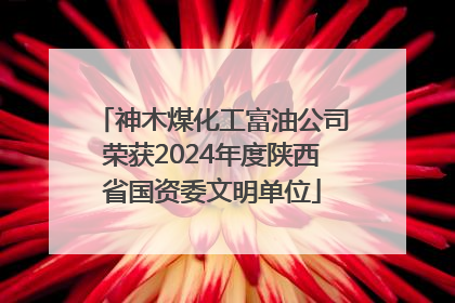 神木煤化工富油公司荣获2024年度陕西省国资委文明单位