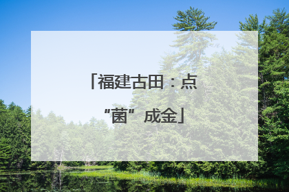 福建古田：点“菌”成金