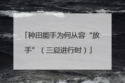 种田能手为何从容“放手”（三夏进行时）