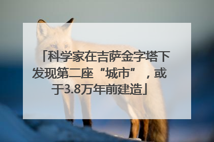 科学家在吉萨金字塔下发现第二座“城市”，或于3.8万年前建造