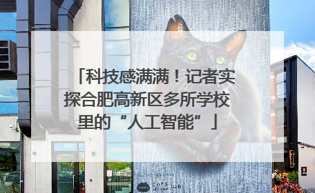 科技感满满！记者实探合肥高新区多所学校里的“人工智能”