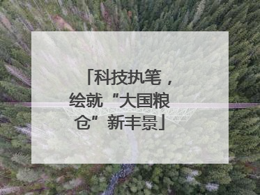 科技执笔，绘就“大国粮仓”新丰景