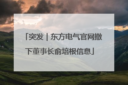突发｜东方电气官网撤下董事长俞培根信息