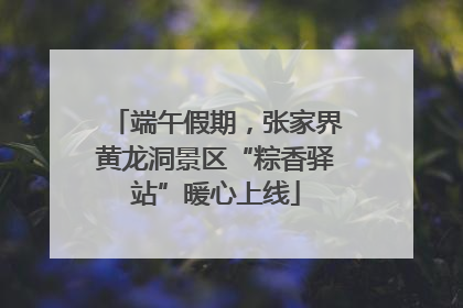 端午假期，张家界黄龙洞景区“粽香驿站”暖心上线