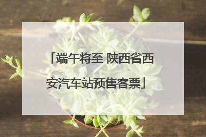 端午将至 陕西省西安汽车站预售客票