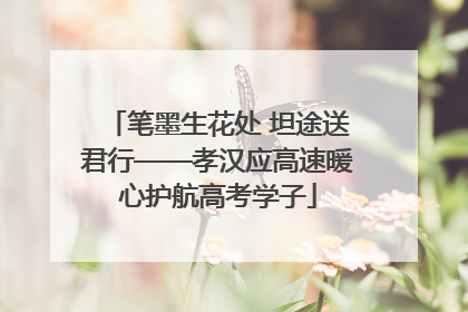 笔墨生花处 坦途送君行——孝汉应高速暖心护航高考学子