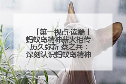 第一视点·读端丨蚂蚁岛精神薪火相传历久弥新 蔡之兵：深刻认识蚂蚁岛精神的“精气神”