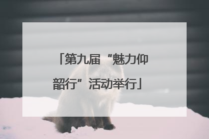 第九届“魅力仰韶行”活动举行
