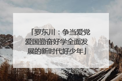 罗东川：争当爱党爱国勤奋好学全面发展的新时代好少年