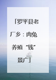 罗平县老厂乡：肉兔养殖“钱”景广