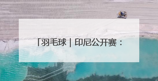羽毛球｜印尼公开赛：王正行男单首轮晋级
