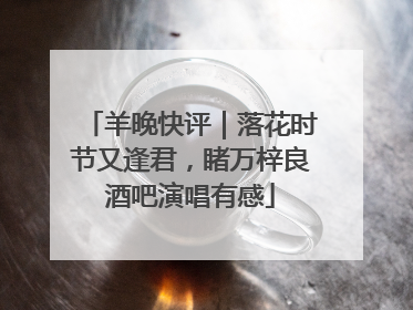 羊晚快评｜落花时节又逢君，睹万梓良酒吧演唱有感