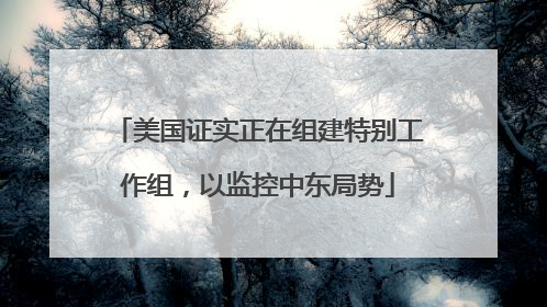 美国证实正在组建特别工作组，以监控中东局势