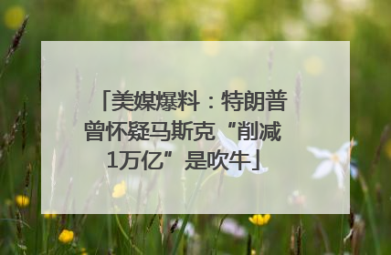 美媒爆料：特朗普曾怀疑马斯克“削减1万亿”是吹牛