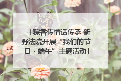 粽香传情话传承 新野法院开展“我们的节日・端午”主题活动