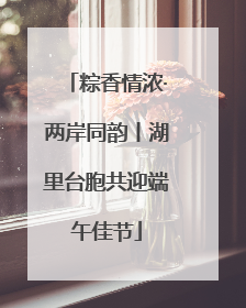 粽香情浓·两岸同韵丨湖里台胞共迎端午佳节