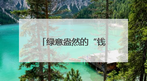绿意盎然的“钱袋子”：高原夏菜成富民产业