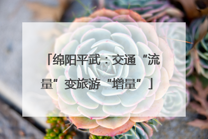 绵阳平武：交通“流量”变旅游“增量”