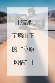 综述：宝塔山下的“草原风情”