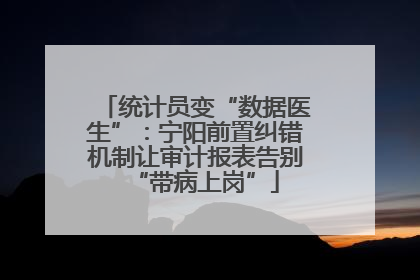 统计员变“数据医生”：宁阳前置纠错机制让审计报表告别“带病上岗”