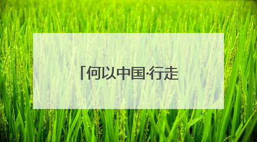 何以中国·行走海南｜侨校飘茶香 职教新发展