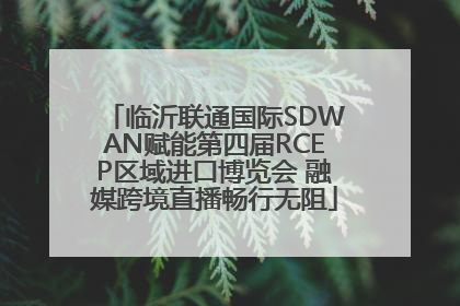 临沂联通国际SDWAN赋能第四届RCEP区域进口博览会 融媒跨境直播畅行无阻