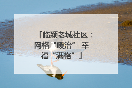 临颍老城社区：网格“暖治” 幸福“满格”