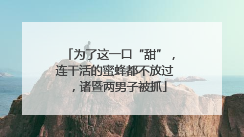 为了这一口“甜”，连干活的蜜蜂都不放过，诸暨两男子被抓