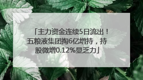 主力资金连续5日流出！五粮液集团掏6亿增持，持股微增0.12%显乏力