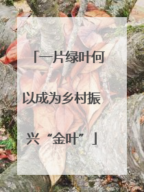 一片绿叶何以成为乡村振兴“金叶”