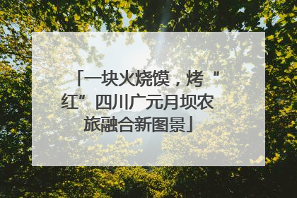 一块火烧馍，烤“红”四川广元月坝农旅融合新图景