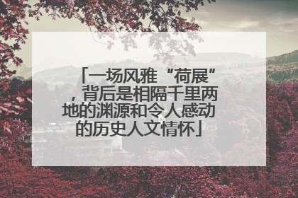 一场风雅“荷展”，背后是相隔千里两地的渊源和令人感动的历史人文情怀