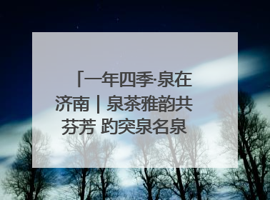 一年四季·泉在济南｜泉茶雅韵共芬芳 趵突泉名泉茗茶品鉴会举行