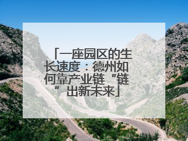 一座园区的生长速度：德州如何靠产业链“链”出新未来