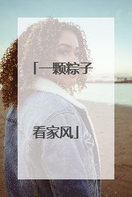一颗粽子看家风