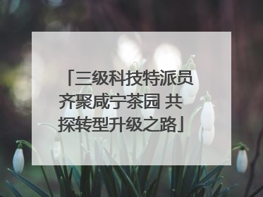 三级科技特派员齐聚咸宁茶园 共探转型升级之路
