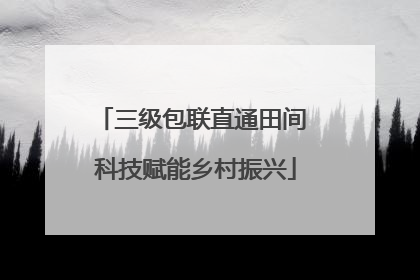 三级包联直通田间 科技赋能乡村振兴